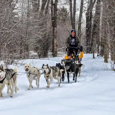 a group of people riding on the back of a horse in the snow