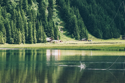 NorthForty8 a body of water surrounded by trees