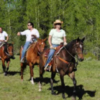 a group of people riding on the back of a horse