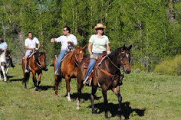 a group of people riding on the back of a horse