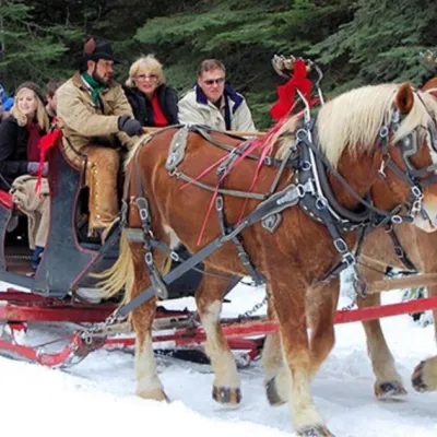 a horse pulling a carriage with people in the background