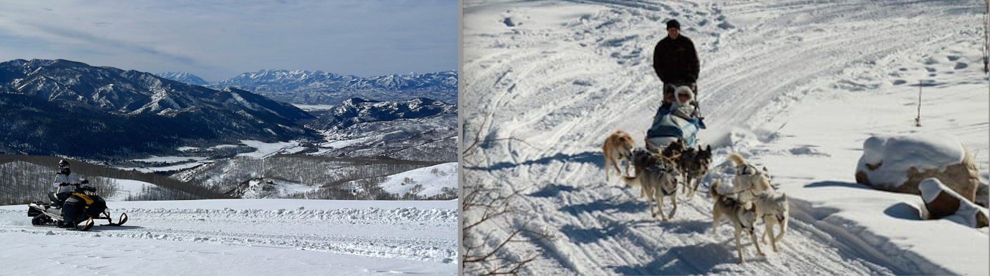 Half Day Adventure Package Dogsled and Snowmobile | North Forty